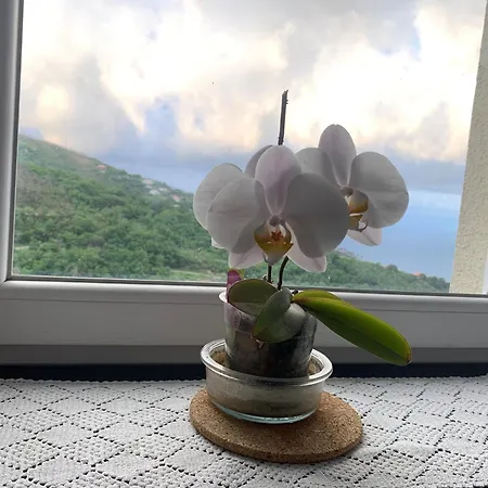 アパート Da Mafalda *