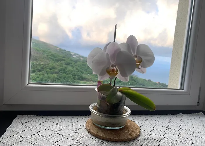 Lejlighed Da Mafalda *